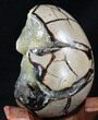 Septarian Dragon Egg Geode - Yellow Calcite #34703-4